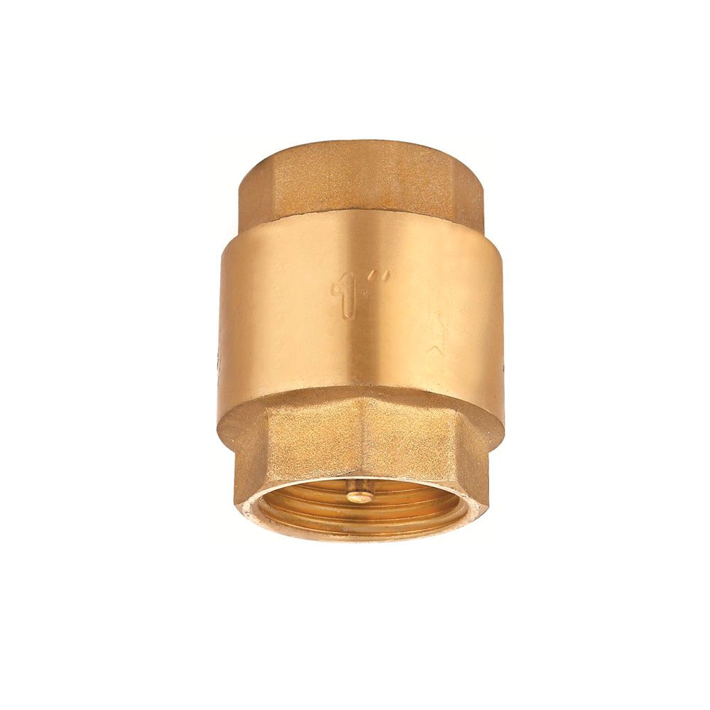 Válvula de retenção f-f 3/4"