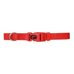 Collar basic rojo 20 mm x 40-55 cm