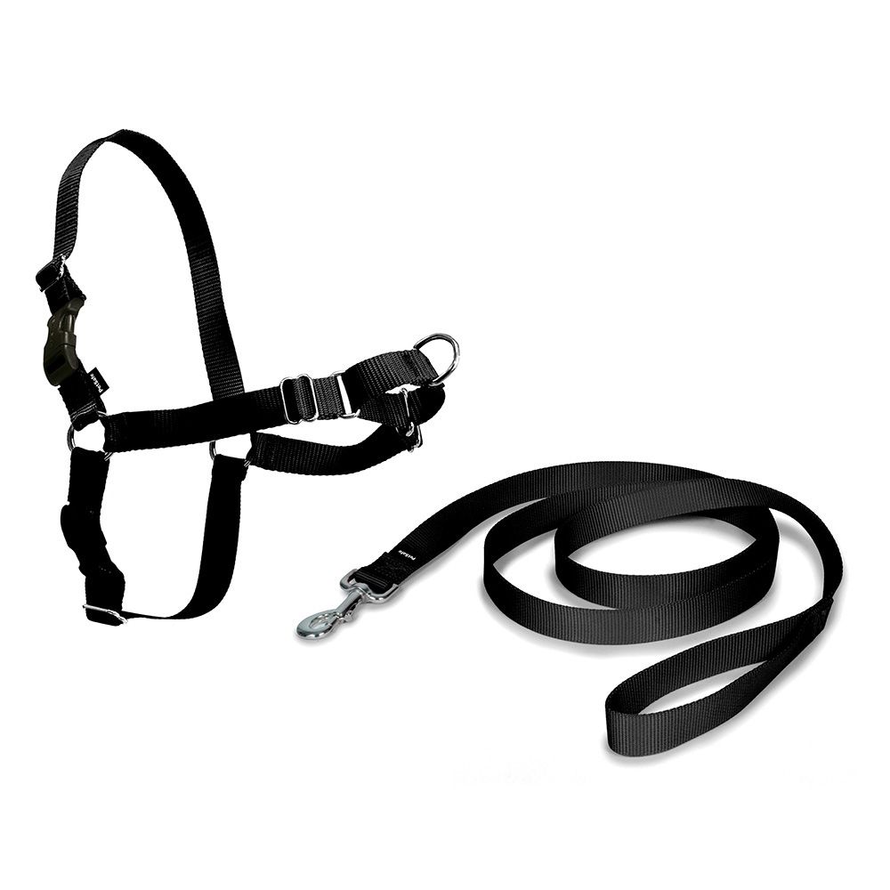 Arnês + trela, easy walk, preto, T - média, 56 - 81 cm