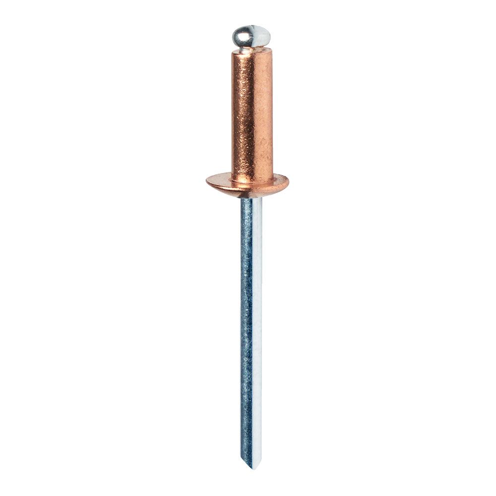 Blíster de 50 rebites Ø4,8x12mm alu+broca cobreado 5001467 rapid