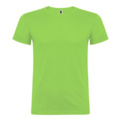 T-shirt beagle green oasis T.L