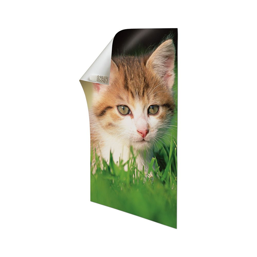 Command tiras de cartaz, 12 PCS - Image 2