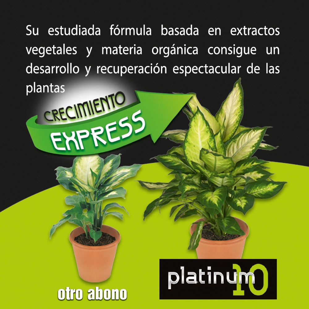 Fertilizante líquido platina 10 1l - Image 3