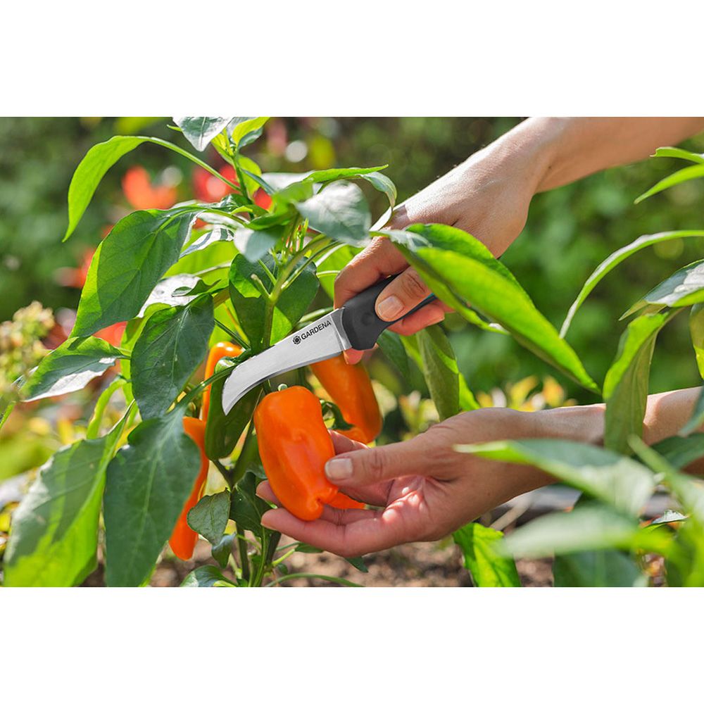 Faca Veggiecut - Image 5