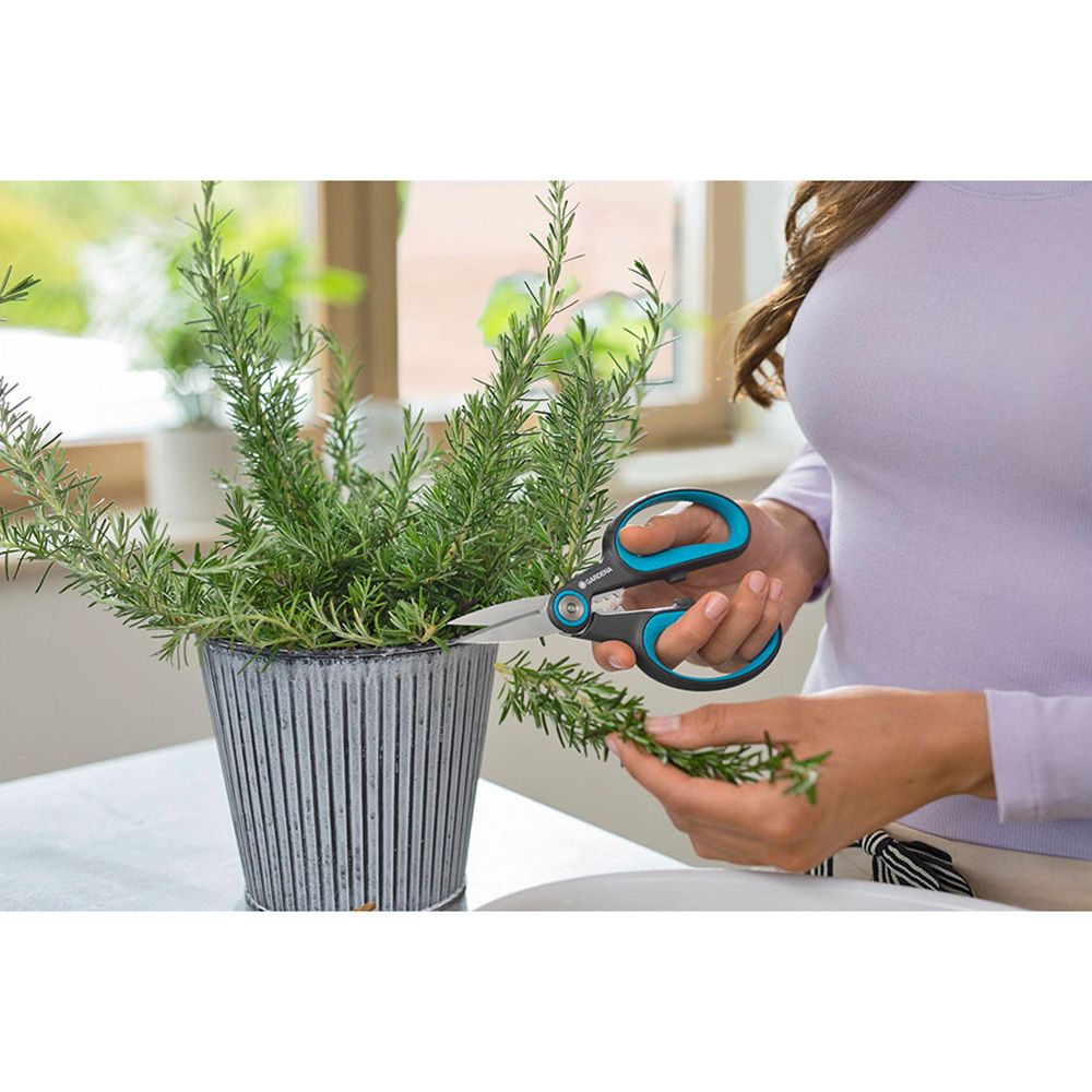 Tesoura herbcut - Image 2