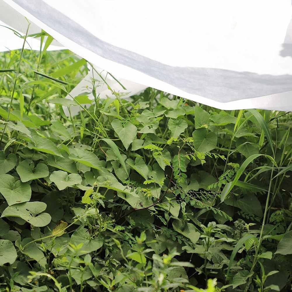 Tela de protección para cultivos 1,5 x 5 m 30gr/m² - Image 4