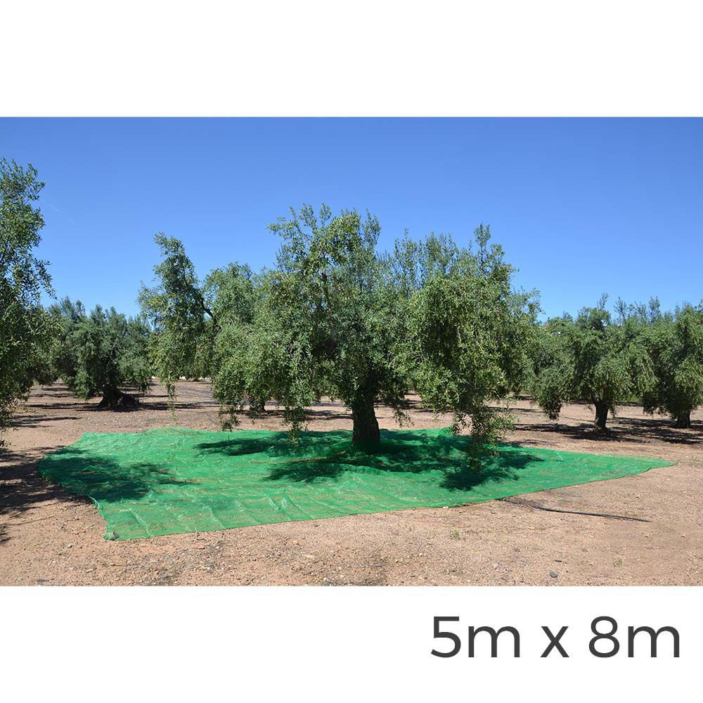 Manto para coleta de frutas 5x8m COR verde