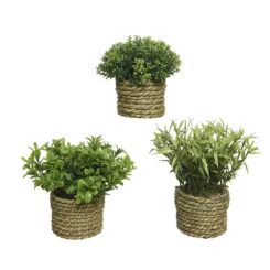 Maceta de planta verde ø16 x 13 cm, modelos variados