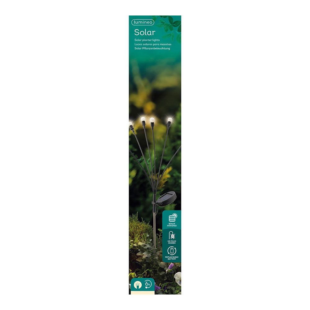 Estaca solar de LUZ fixa para plantas e jardim 898736 - Image 2