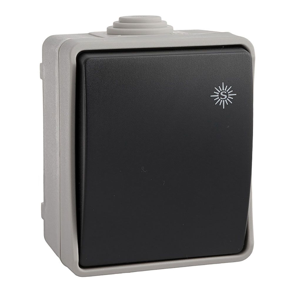 Comutador/interruptor estanque 10AX 250V~IP54