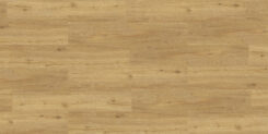 Réguas de Gold Summer Oak instaladas